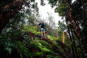 BIB: 
                            <button type="button" onclick="openModal(26204733)" class="btn btn-primary btn-sm float-right btn-popup" data-toggle="modal" data-target=".modal-high-quality">
                        <i class="fas fa-shopping-cart"></i> Add to Cart
                    </button>
                                            <button type="button" onclick="isThisMe(26204733, true)" class="btn btn-success btn-sm float-right btn-popup btn-isme hidden" data-toggle="tooltip" data-placement="bottom" title="นี่คือรูปของคุณใช่ไหม คลิกที่นี่เพื่อเอาเข้าอัลบั้ม">
                        <i class="fas fa-plus"></i> Add to album
                    </button>
                    <button type="button" onclick="isThisMe(26204733, false)" class="btn btn-warning btn-sm float-right btn-popup btn-isnotme hidden">
                        <i class="fas fa-ban"></i> Remove from album
                    </button>